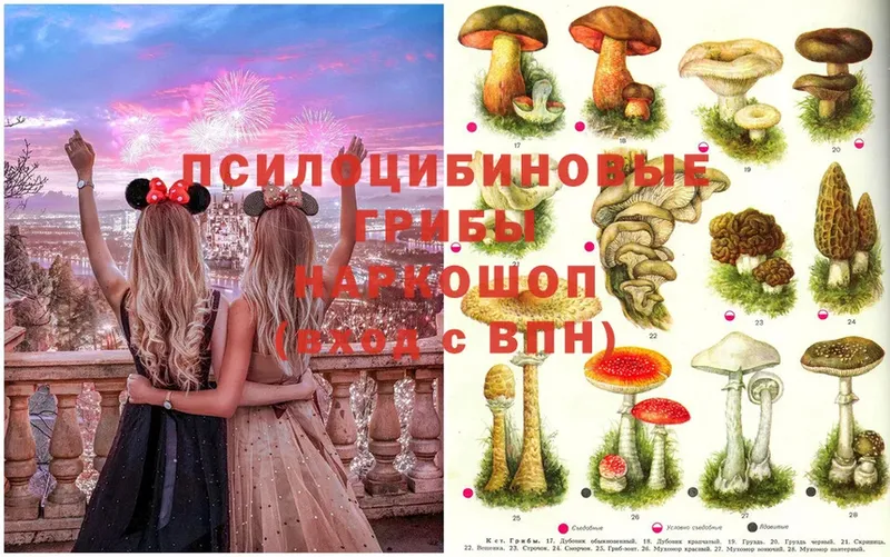 нарко площадка клад  Артёмовск  Псилоцибиновые грибы MAGIC MUSHROOMS 